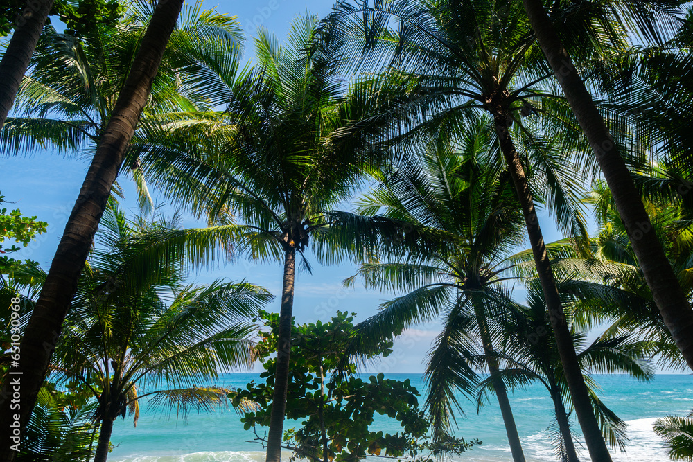 Blue sky with white sand and palm beach Blue sky with white sand and palm beach