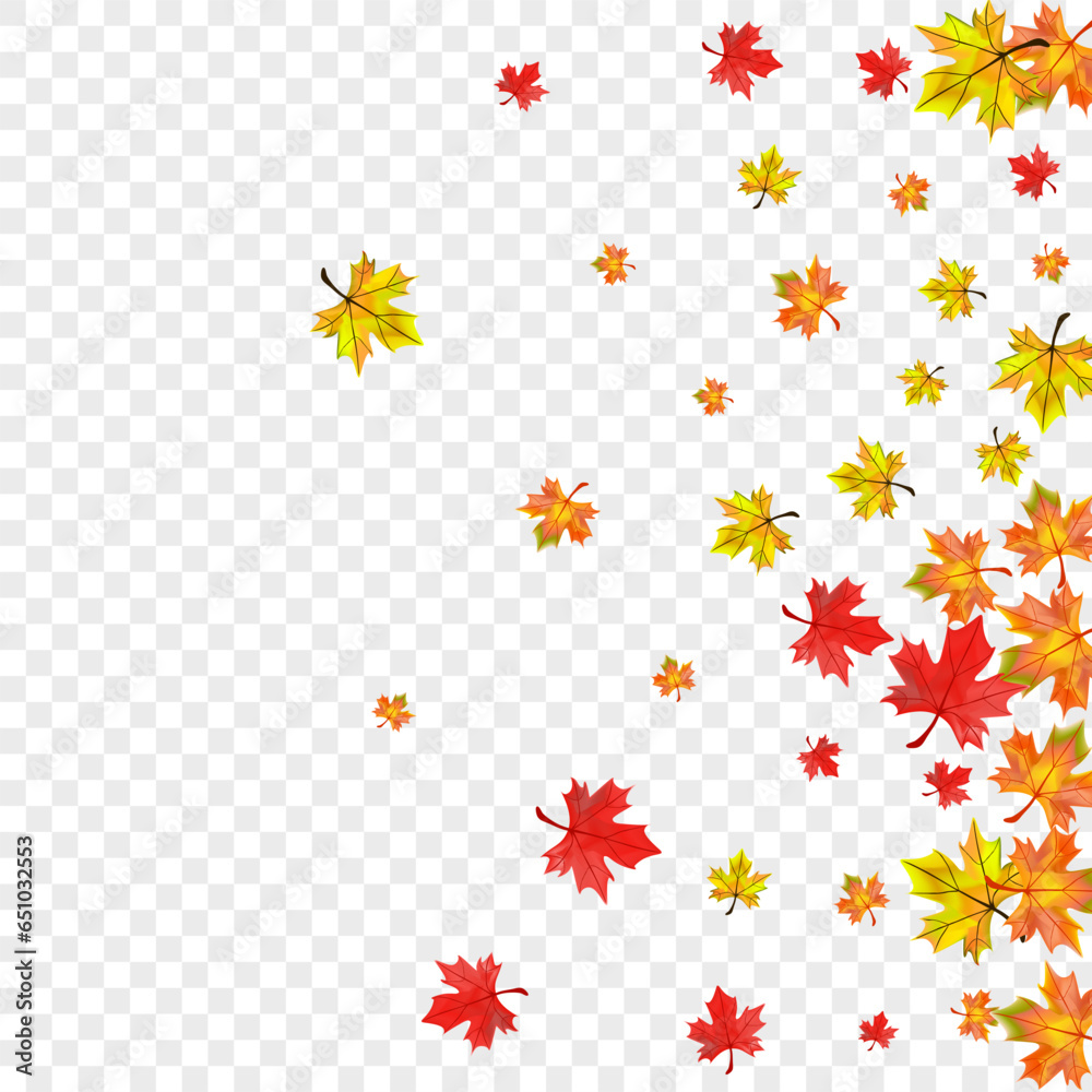Colorful Floral Background Transparent Vector. Foliage Abstract Design. Orange Canadian Plant. Flying Leaf Card.
