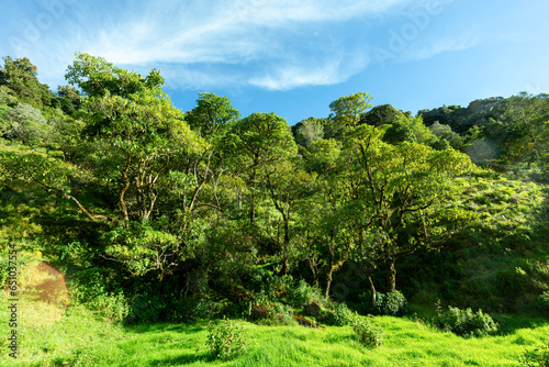Beautiful view of the landscape Los Quetzales National Park and rainforest surrounding San Gerardo de Dota, beautiful Costa Rica Wilderness landscape