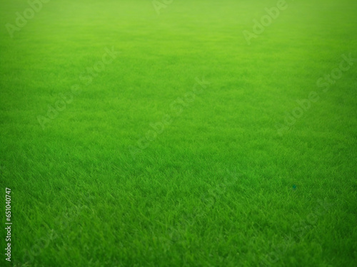 Green grass field texture background. Green grass field texture background. Green grass field texture. AI-Generated