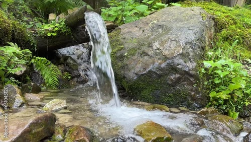 A source of pure drinking mineral water descends from the mountains along a wooden chute into a stream, the video moves from bottom to top