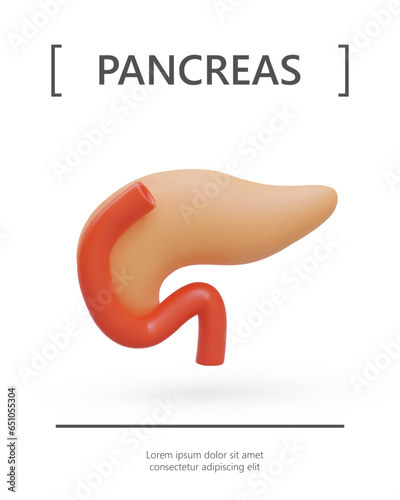 Realistic colored pancreas. Anatomically correct human internal organ. Vertical poster on white background. Place for accompanying text. Vector concept for web design