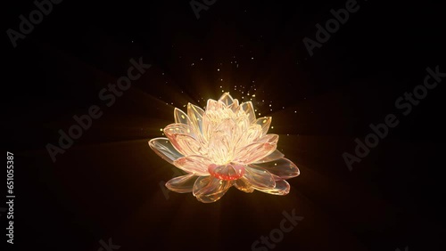 Lotus flower is blooming. Lotus flower symbol. Vu Lan ceremony. Concept of religion. Buddha. kundalini. meditation. spiritual development. Transparent background