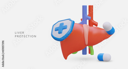 Liver protection. 3D liver with veins, medical shield with blue cross, capsules. Hematopoietic internal human organ. Recovery after hepatitis. Vector advertisement of hepatoprotections photo