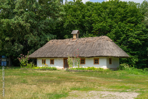 A village yard with grass and trees near the ancient Ukrainian countryside house (ID: 651057913)