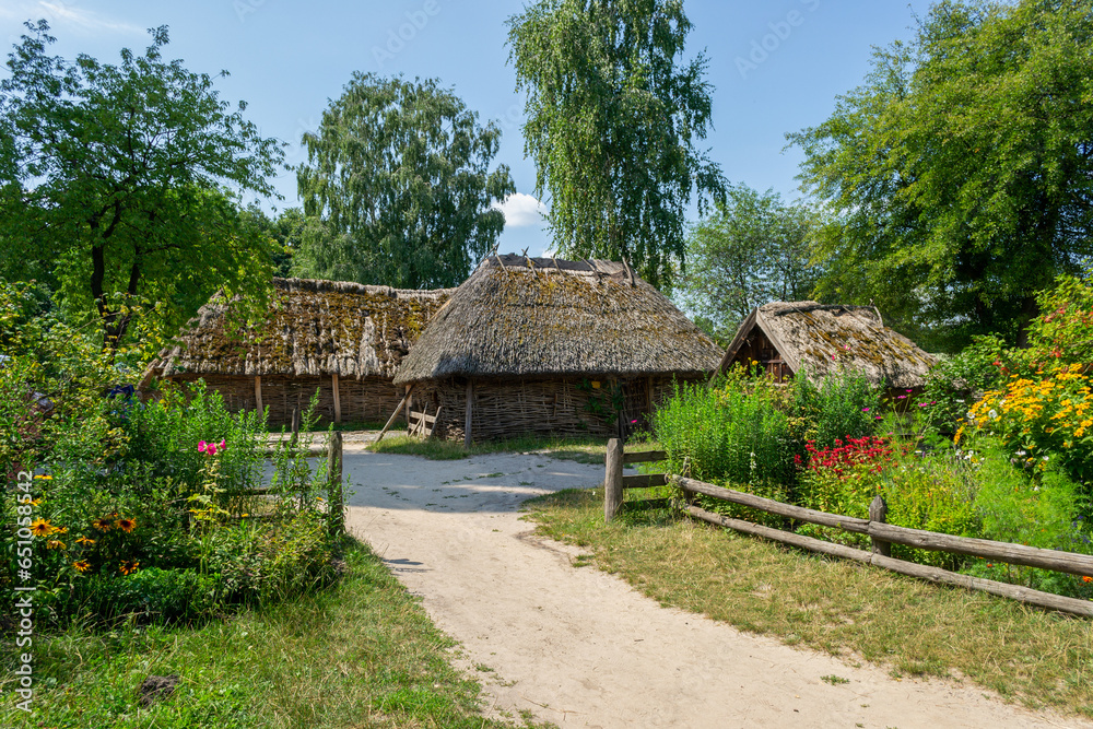 A village yard with grass and trees near the ancient Ukrainian countryside house A village yard with grass and trees near the ancient Ukrainian countryside house
