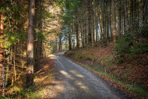 Schönbuch Nature Park in the Stuttgart Region photo