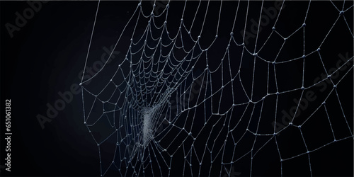 Halloween background with cobwebs. Vector web on a black background.