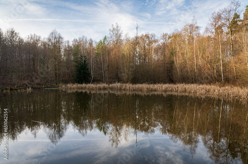 Schönbuch Nature Park in the Stuttgart Region photo