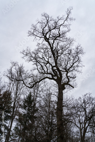 Schönbuch Nature Park in the Stuttgart Region photo