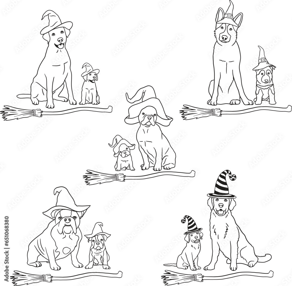 Witch dog on Halloween Witch dog on Halloween