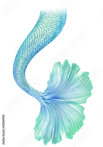 Png Transparent Mermaid Tail Overlays. By ATP Textures