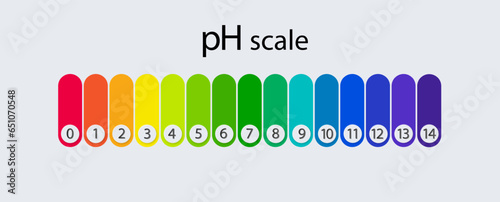 pH scale chart for acid and alkaline solutions. Acid-base balance infographic. Vector