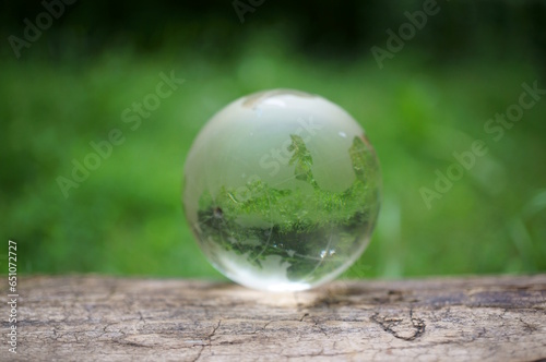 Glass globe on a green background. Protection of the planet. Ecosystem. Environmental protection.