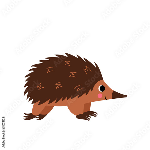 Vector picture of cute echidna isolated on white background.