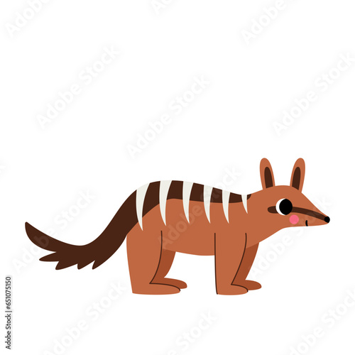 Vector picture of cute numbat isolated on white background.
