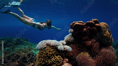 Woman in blue swimsuit snorkeling over the vivid coral reef in Indonesia