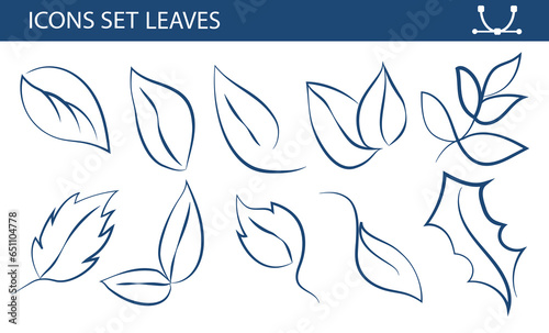Set of leaves in line art style, sketch drawing, symbolizing eco, ecology