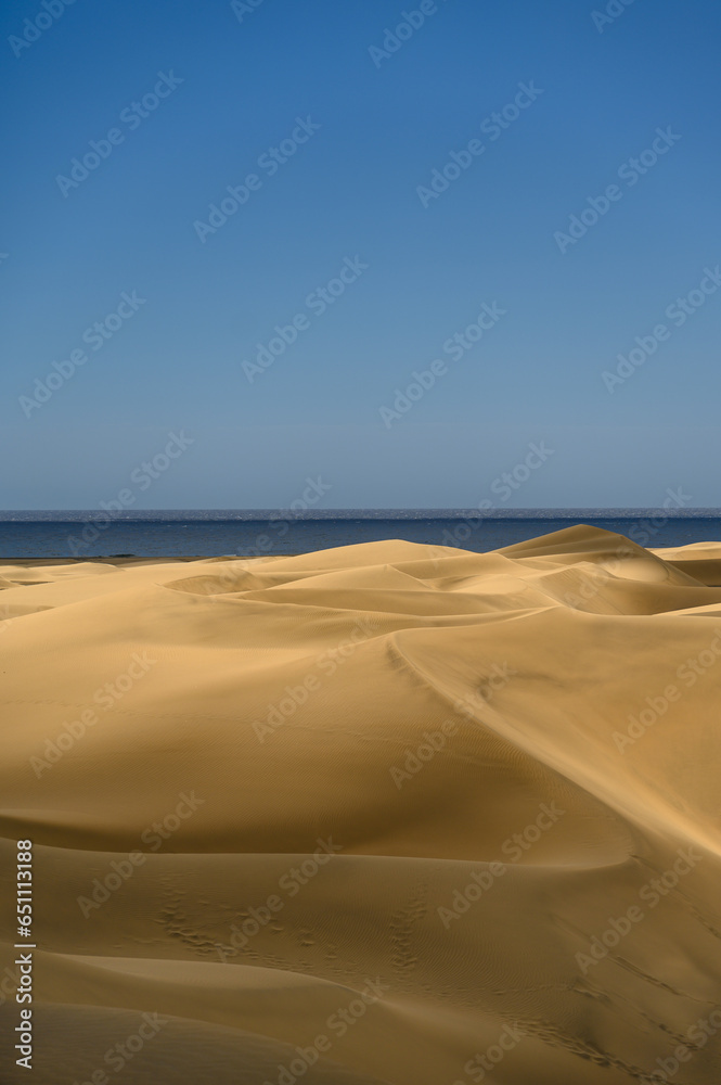 Sandy beach in sunny day