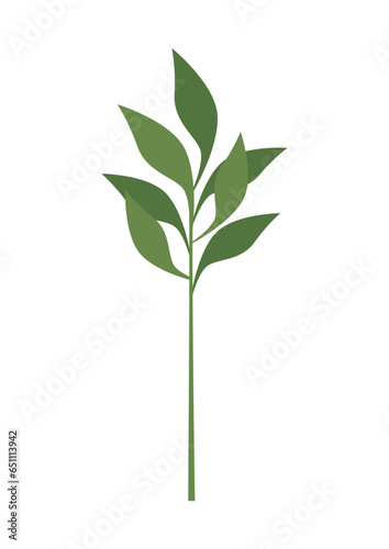 plant leaves 378