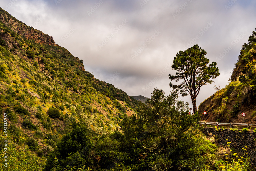 Paisaje en la Isla de la Gomera. Paisaje en la Isla de la Gomera.