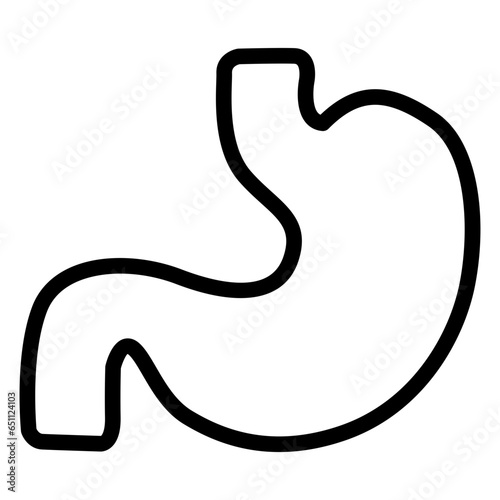 stomach