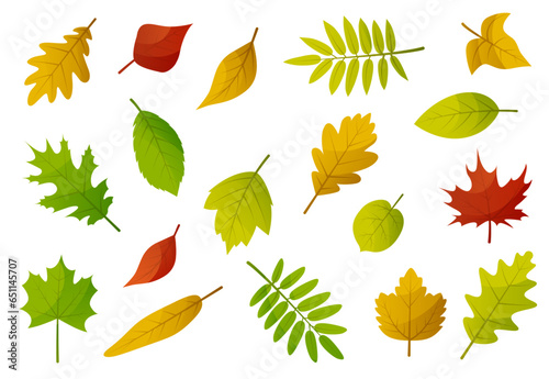 Autumn leaves set. Yellow foliage leaf collection. Autumn design element. Vector illustration EPS10