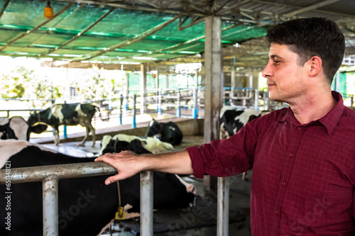 Young cowman farmer working with cows in dairy farm photo