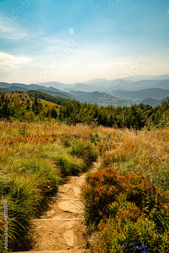 Fototapeta Naklejka Na Ścianę i Meble -  A mountain range in the Bieszczady Mountains in the area of Tarnica, Halicz and Rozsypaniec.