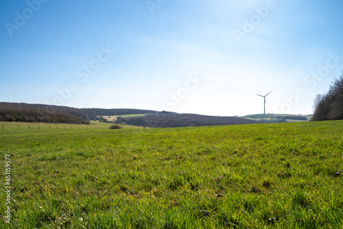 Landscape with grass , trees and a blue sunny sky in springtime 