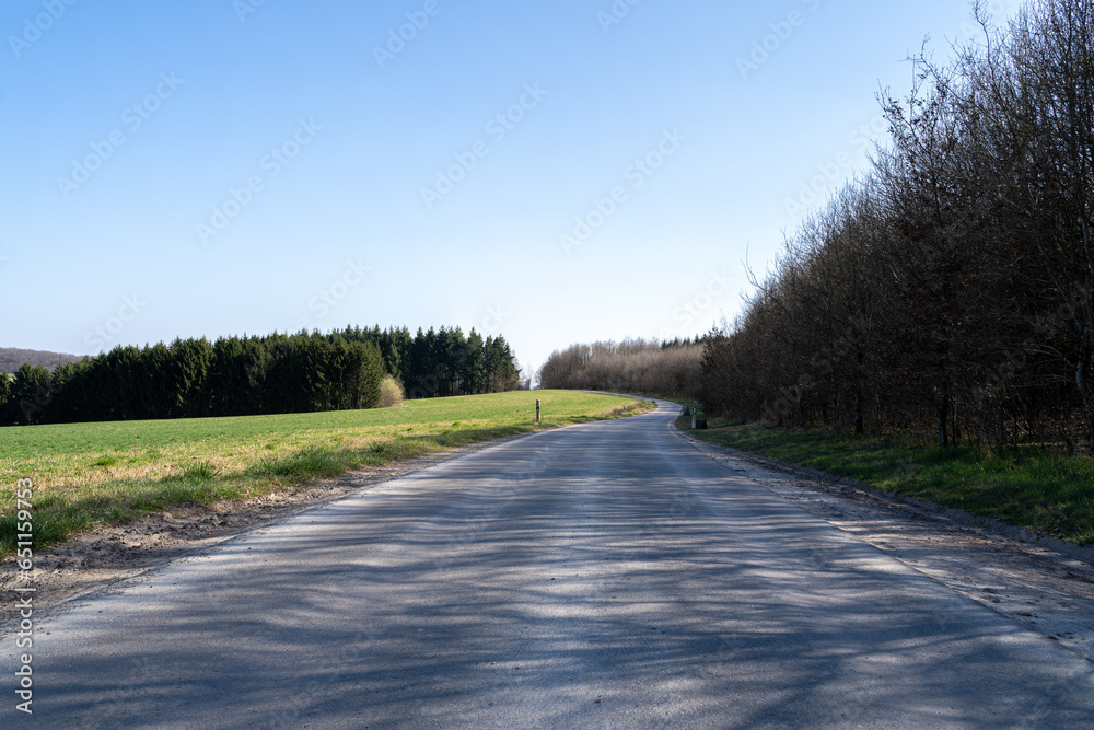 Fototapeta premium Road in the landscape on a sunny day in spring 
