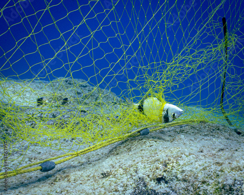 fishing net and rope