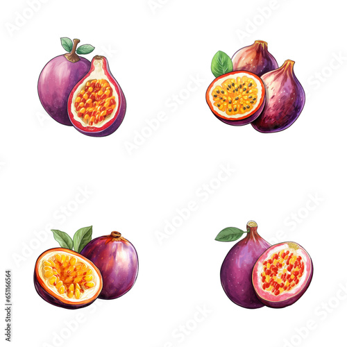 set of watercolor passion fruit illustrations with leaves isolated