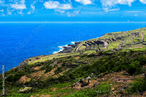 landscape of the coast of the island of Pantelleria with agricultural terraces