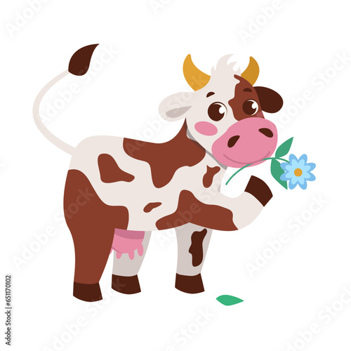 Cute spotted cow with a flower in her mouth. Farm animals. Vector graphic.