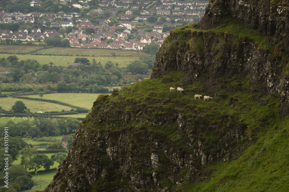 The view from the hill: The Sheep’s View