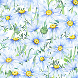 Watercolor daisies, Seamless pattern with watercolor camomile flowers and petals, floral pattern with daisies, wildflowers, summer print