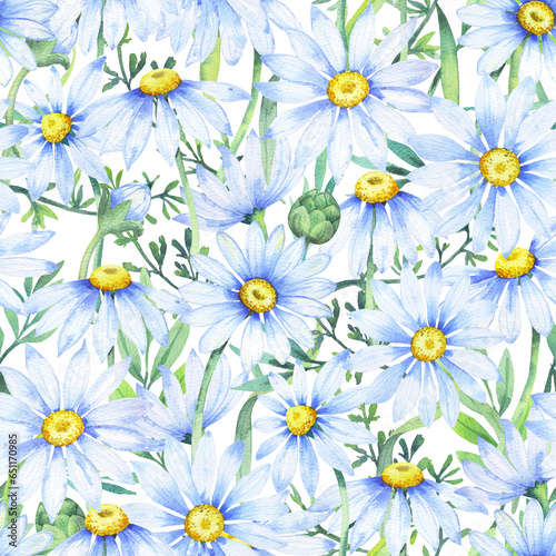 Watercolor daisies, Seamless pattern with watercolor camomile flowers and petals, floral pattern with daisies, wildflowers, summer print
