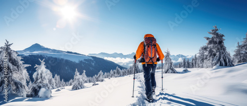 Mountaineer Backcountry Skiing in Snowy Alpine Landscape