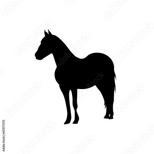 Horse vector png