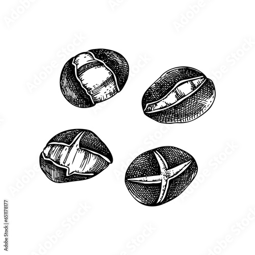 Roasted chestnut sketches set. Hand-drawn vector illustration. Traditional European Christmas market, fast food design element in engraved style for label and packaging.