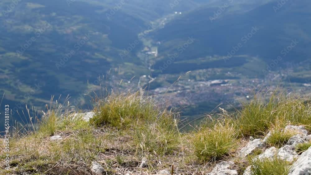 Grass swings in wind on mountain edge in selective focus, against valley Grass swings in wind on mountain edge in selective focus, against valley