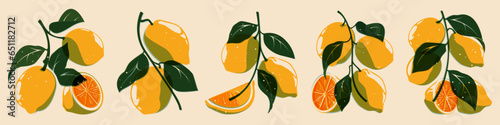 Lemon plant riso collection. Fresh citrus fruit for organic eco design, cartoon botanical print elements of lemon tree. Vector isolated set. Juicy natural food with vitamins, sour fruit