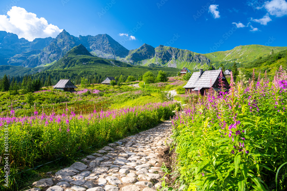 path through a meadow of flowers in the Tatra Mountains with wooden huts in Poland