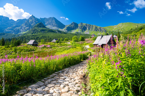 Obraz na płótnie path through a meadow of flowers in the Tatra Mountains with wooden huts in Poland w salonie