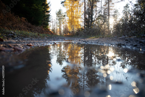 reflections in the water