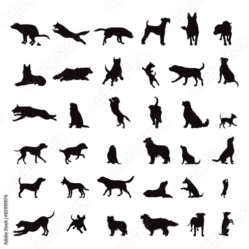 Fototapeta Naklejka Na Ścianę i Meble -  Set of vector silhouettes of different dogs on white background.