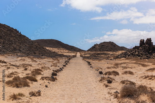 landscape in the desert