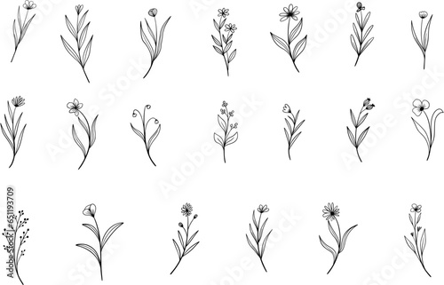 Set of hand drawn floral branch line art