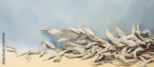 Dried sage leaves arranged alone on a isolated pastel background Copy space photo